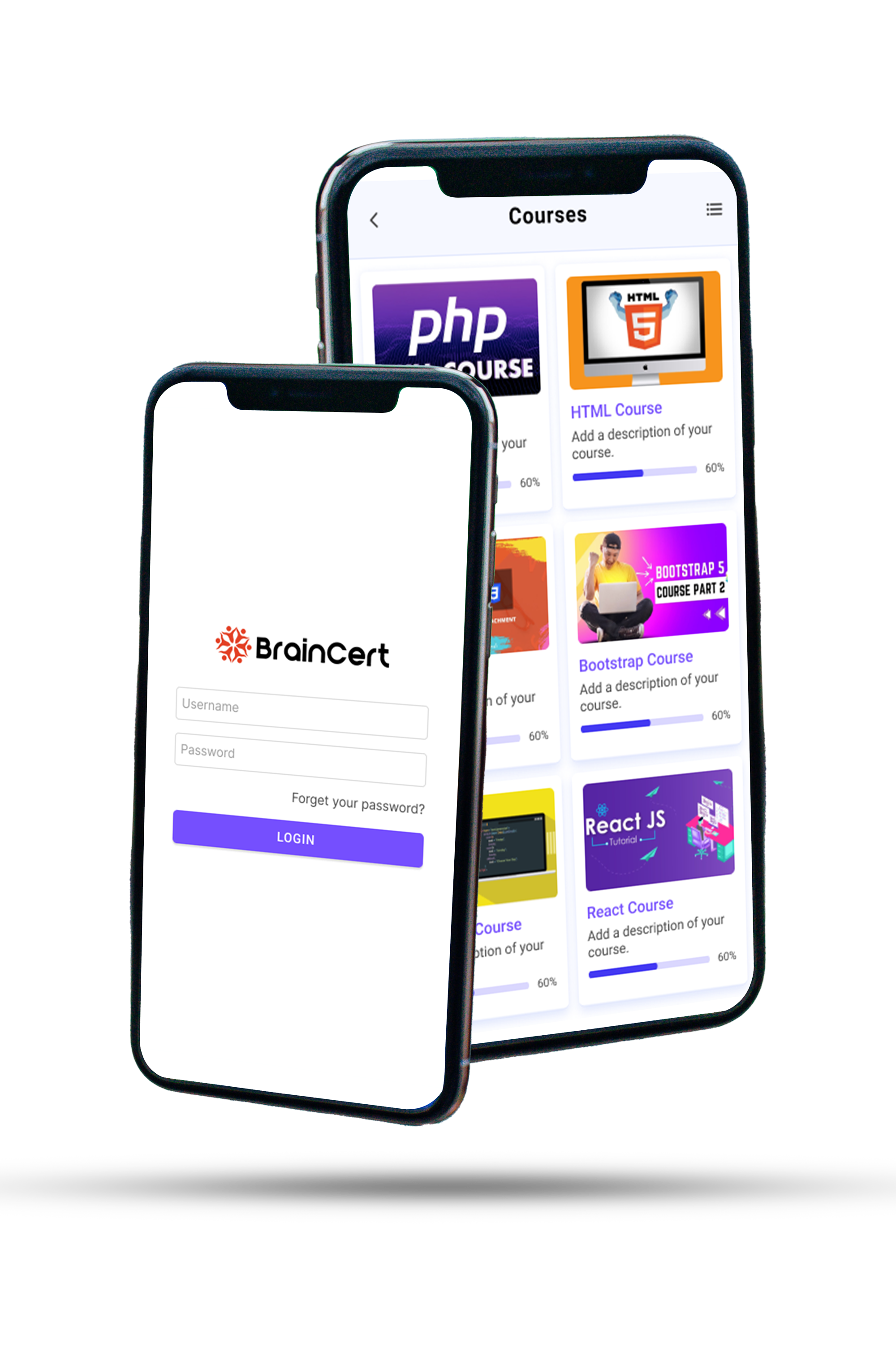 feature-image